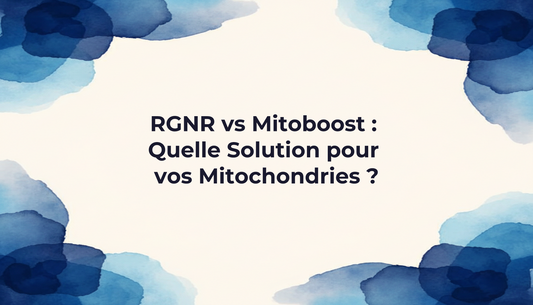 RGNR vs Mitoboost : Quelle Solution pour vos Mitochondries ?