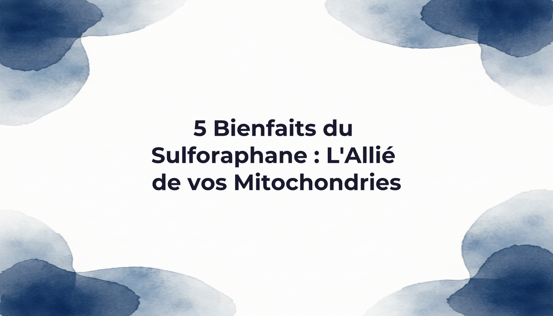 5 Bienfaits du Sulforaphane : L'Allié de vos Mitochondries