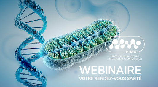 webinaire du 14 fevrier Vincent Castronovo