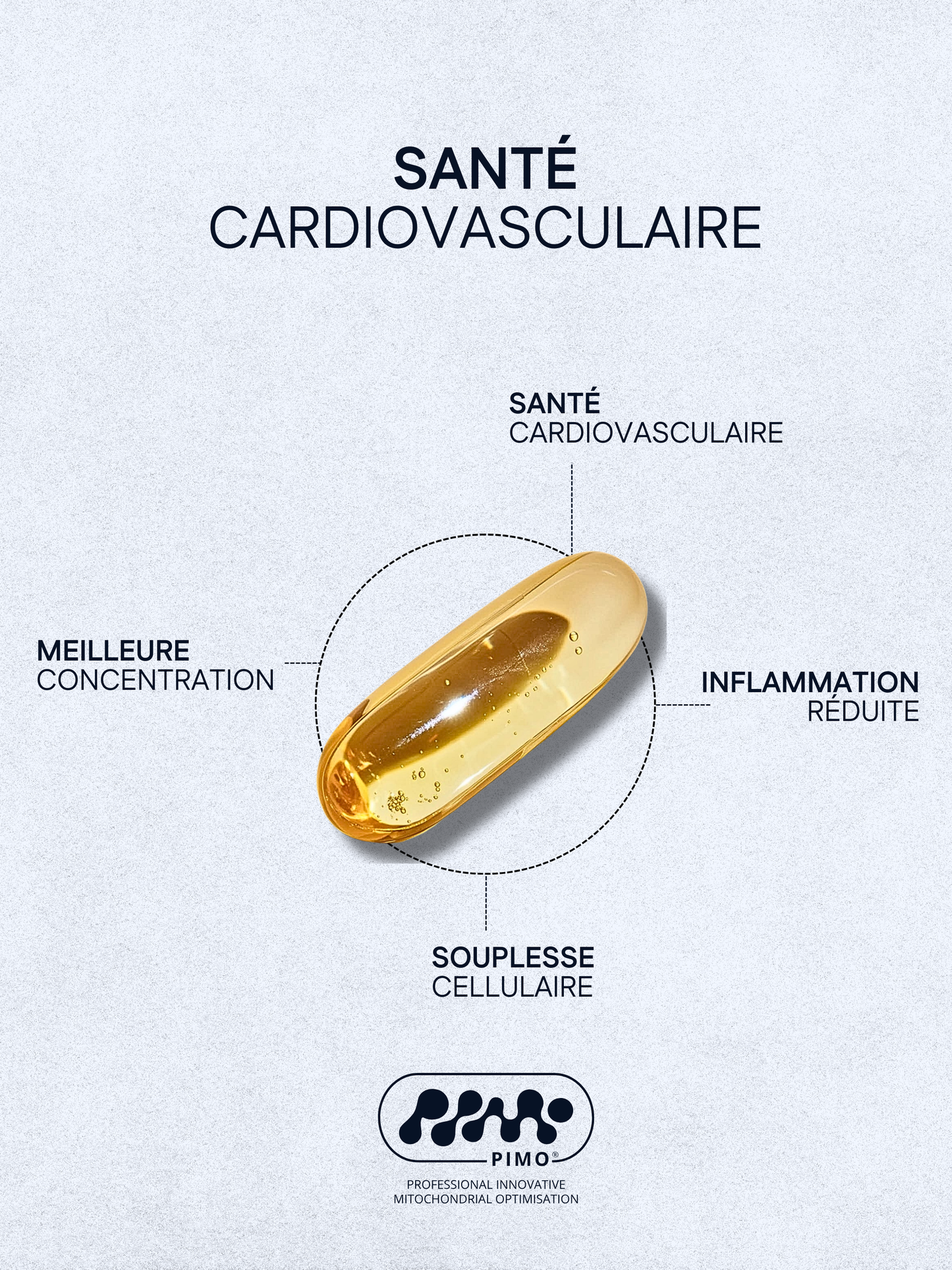 MitoMeg3 - Cœur & Cerveau
