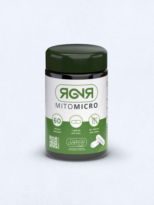 MitoMicro - Équilibre Intestinal & Énergie Cellulaire