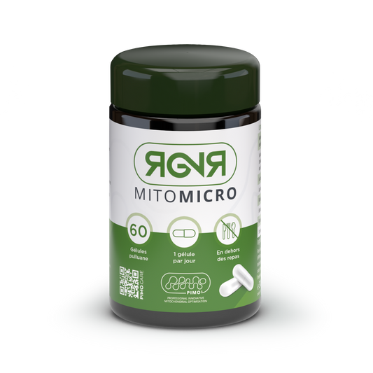 MitoMicro - Équilibre Intestinal & Énergie Cellulaire
