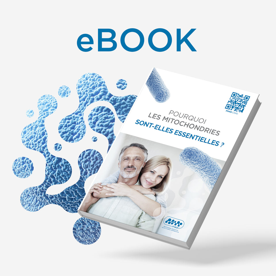 Pourquoi les mitochondries sont essentielles ?